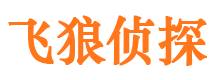 怀柔市调查公司